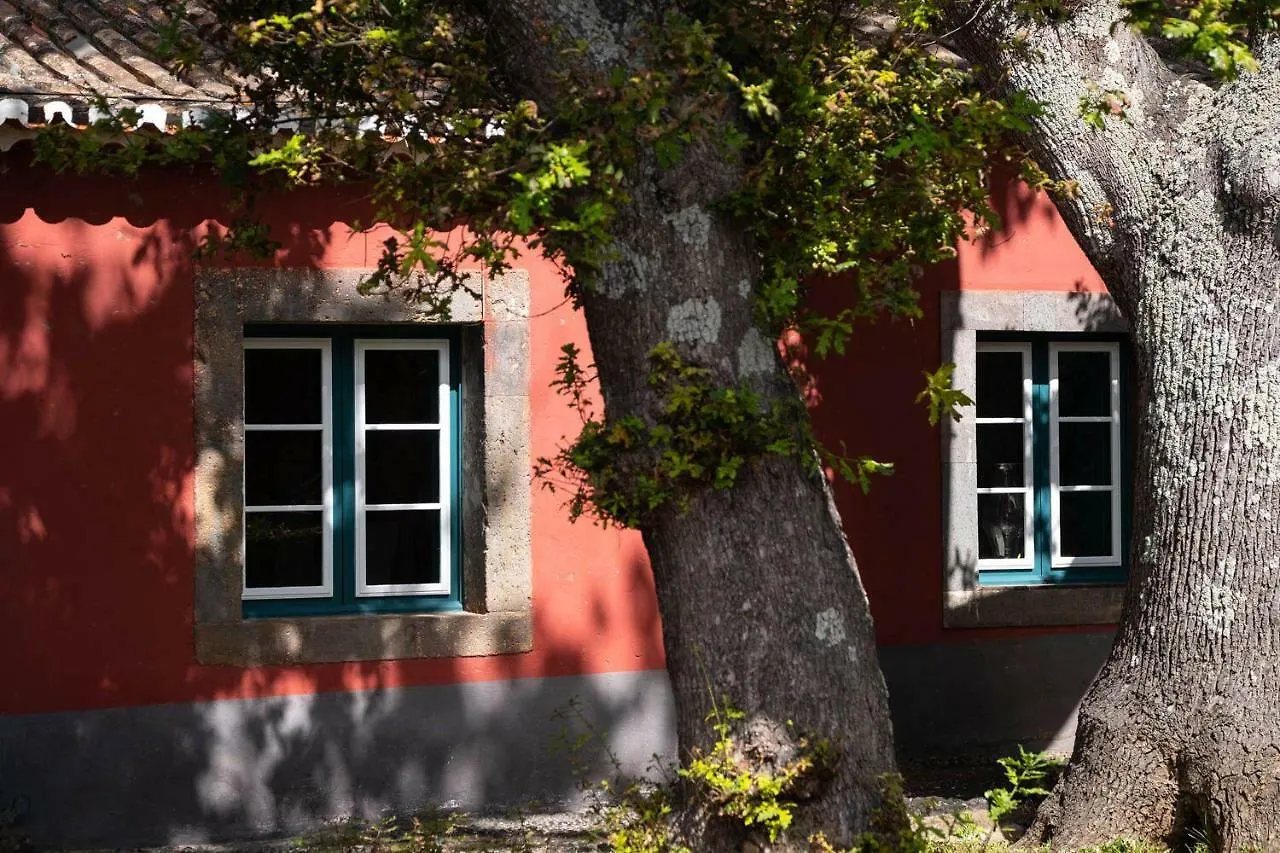 Quinta Das Vinhas Calheta  Konukevi