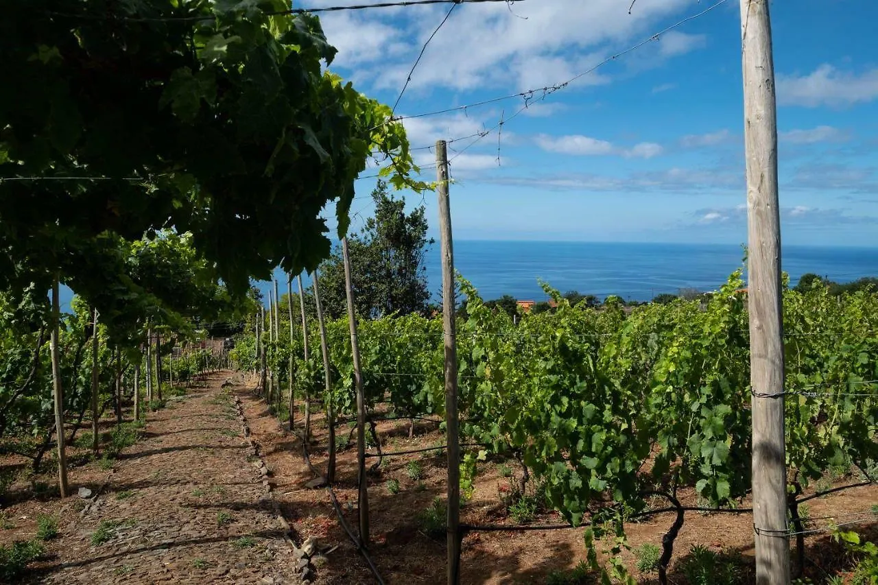 Quinta Das Vinhas Calheta  Portugal