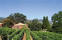 Guest house Quinta Das Vinhas Calheta